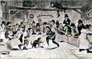 "Вестмистерская арена" гравюра 1820г.